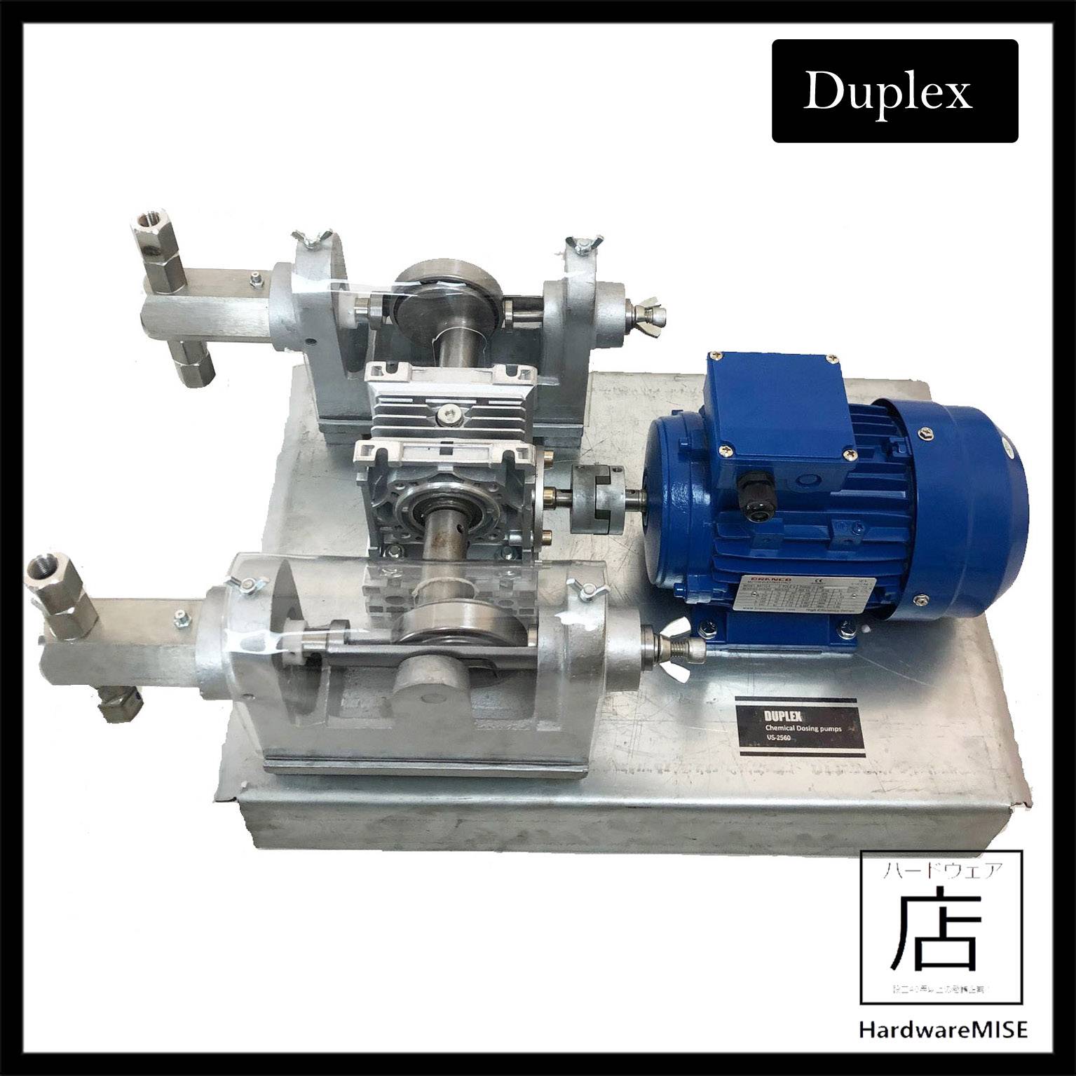 Chemical Dosing Pump Metering Pumps Chemitron Duplex Acid Dosing System